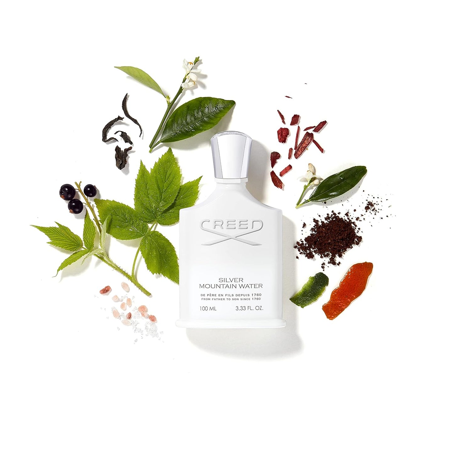 Creed Silver Mountain Water, Men's Luxury Cologne, Citrus, Fruity & Woody Fragrance, 100ML / 3.3 Fl Oz